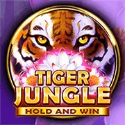 Chương trình VIP độc quyền tại one88o win