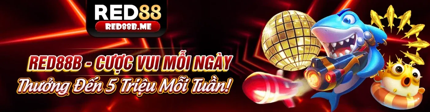 Minh họa cookie và công nghệ theo dõi của one88o win